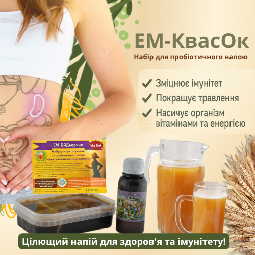 екозаряд квас