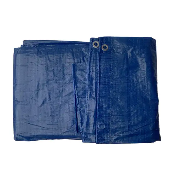 Тент синій з металевими люверсами 4*5 м x treme