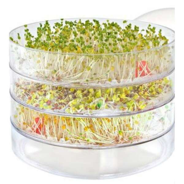 Пророщувач спраутер