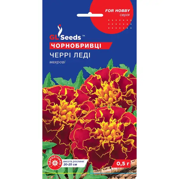 Чорнобривці черрі