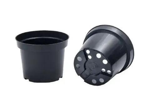 Горщики для розсади 6х6 см. 20шт ТМ terraplus Горщики для розсади 6х6 см. 20шт ТМ terraplus