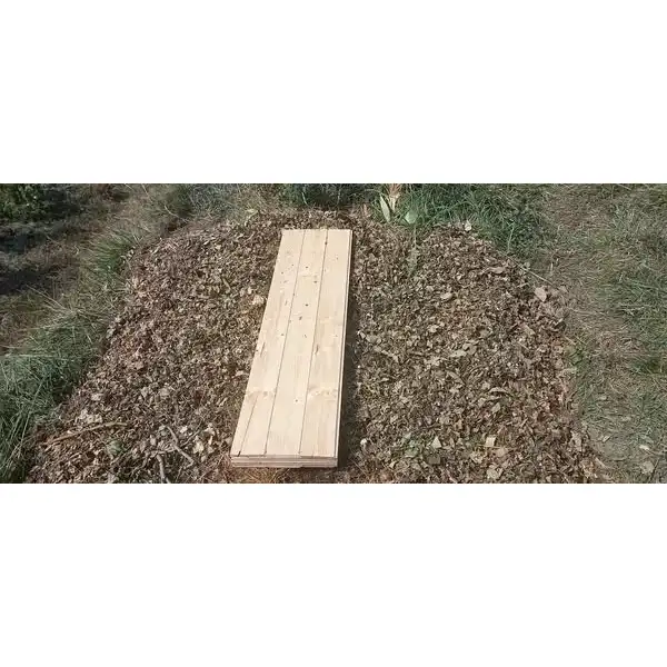 Слимаколовка Розума