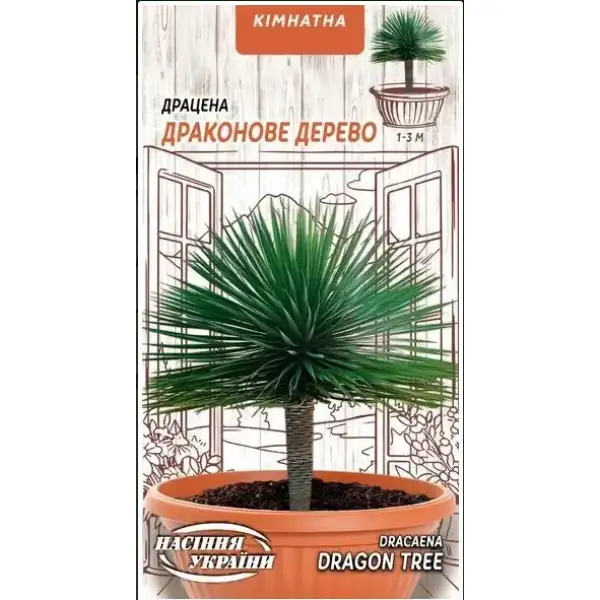 квіти Драцена Драконове дерево 2 шт ТМ Насіння України